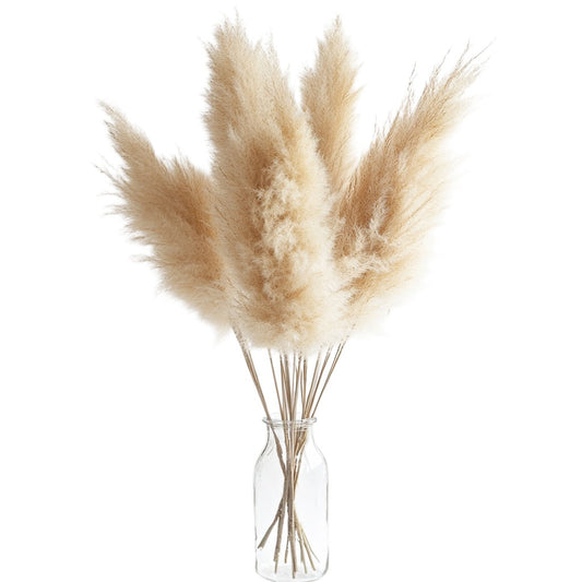 Symod Large Pampas Grass Decor - 5 Stems Natural Dried Flowers - 48" Tall Fluffy Plumes for Boho Home Decor & Wedding - Cream Beige